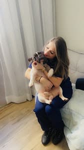 Lily Vet Atendimento domiciliar em Tatuapé