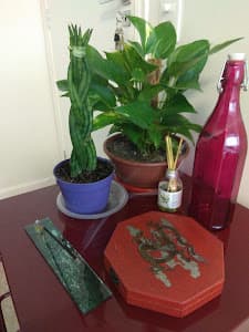 Camila Souza - Psicóloga Brooklin - foto 2