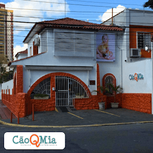 Cão Q Mia Clinica Veterinaria e Pet Shop em Aclimação