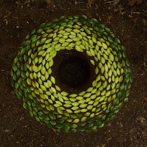 Mente Plena - Consolação em Consolação