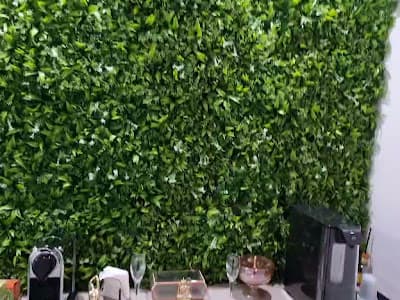 Onodera Estética - Jardins - foto 2