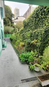 Dr. Victor Piancó | Psicólogo Clínico em Santana e Guarulhos – SP - foto 2