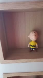 Psicanalista em São Paulo - Evandro José Braga - foto 2