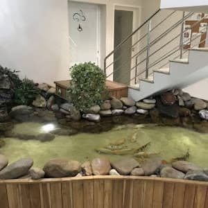 Psicóloga Miriam Albuquerque | Terapia de Casal e Individual em São Paulo