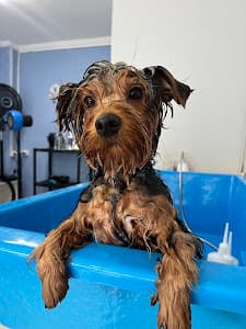 The Grooming Lab - Morumbi em Morumbi