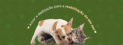 Fisio Care Pet Santana - Fisioterapia, Ortopedia, Neurologia, Ozonioterapia e Acupuntura Veterinária em Santana