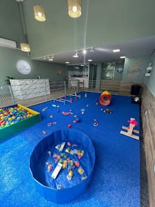 Pet Perez em Santana