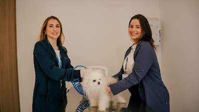 Armazém dos Bichos em Campo Belo